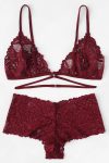 Kadın Bordo Özel Şık Sütyen Külot Takımı