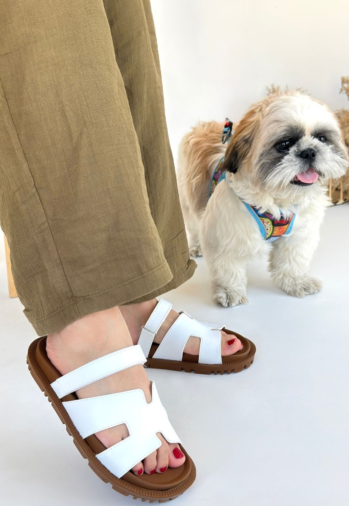 6931_kooni-beya-86530_1 blank