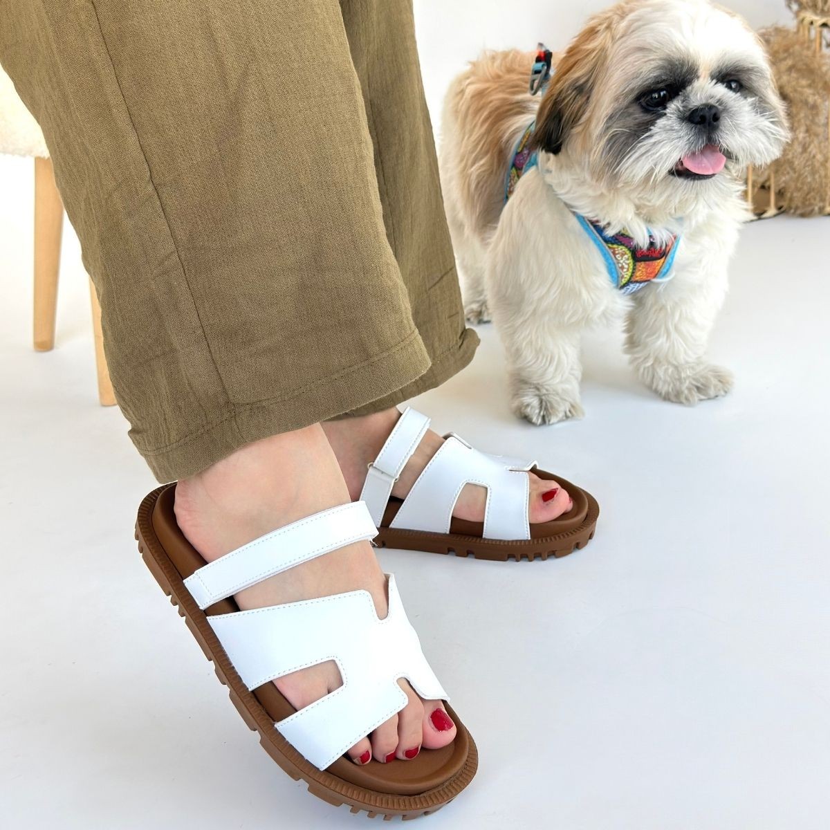 6931_kooni-beya-86530_4 blank