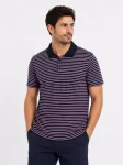 Erkek Pike Kumaş Gül Kurusu Çizgili Polo Yaka Tişört Kısa Kol T-Shirt – Siyah