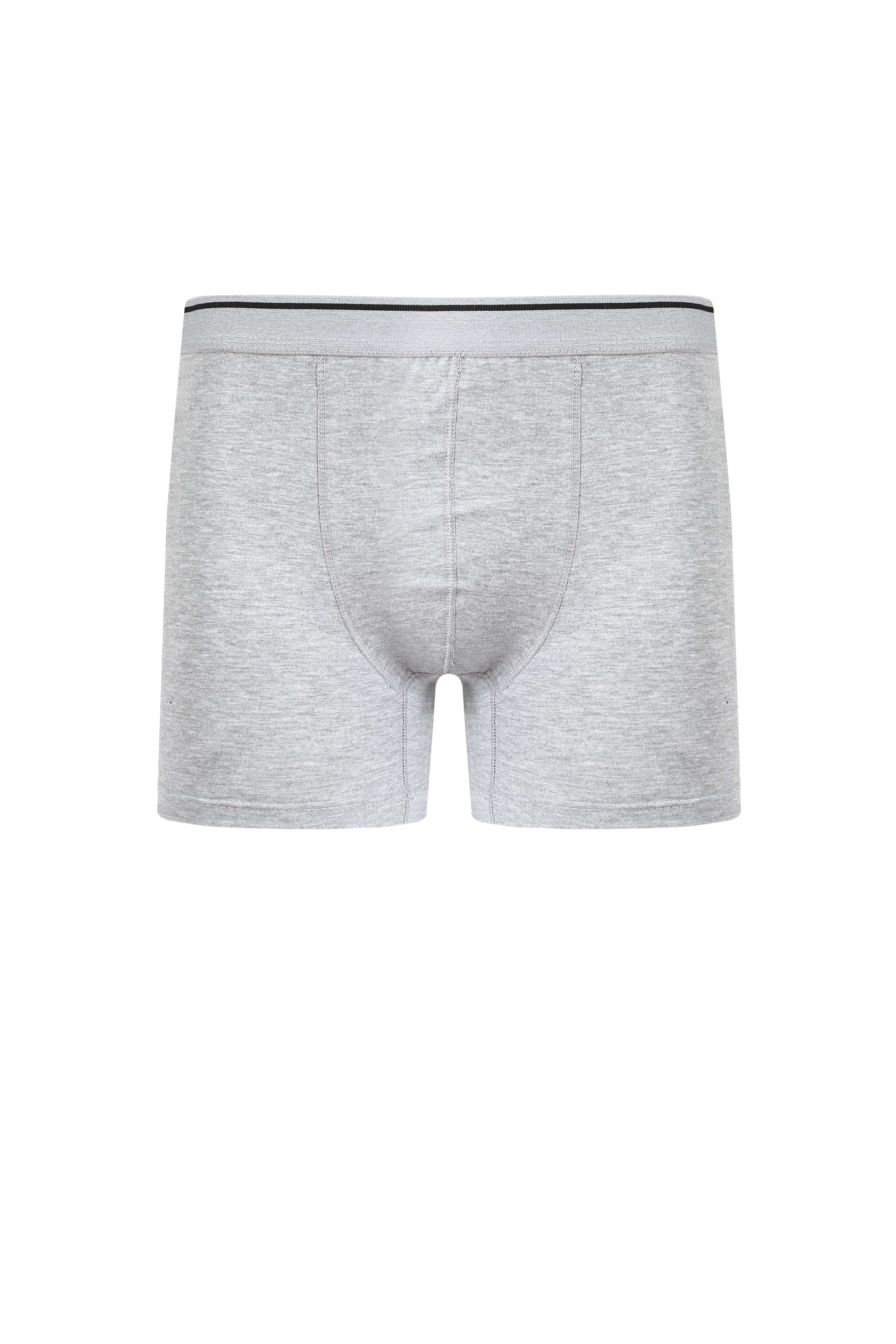 moda-cizgi-erkek-pamuk-likrali-boxer-gri-40133-383076-77-B blank