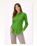 Kadın Yeşil Uzun Kollu Düğmeli Klasik Yaka Günlük ve Ofis Şıklığına Uygun Gömlek