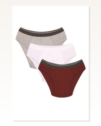 Moda Çizgi Men’s Cotton 3-PIECE Burgundy White Gray Lycra Slip 40128
