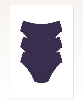 Moda Çizgi Erkek Pamuk 3lü Saks Slip 40129