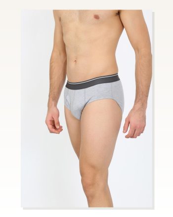 Moda Çizgi Erkek Pamuk Likralı Slip Gri 40132