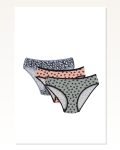 Moda Çizgi Women’s 3-PIECE Panties 40245
