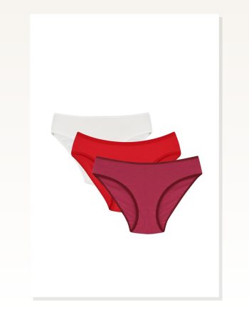 Moda Çizgi Women’s 3-PIECE Panties 40248